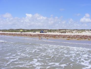 Padre Island Malaquite Campground