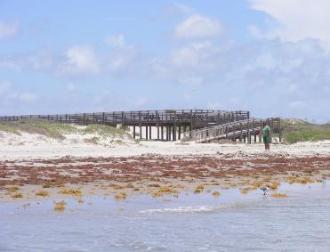 Padre Island Malaquite Campground