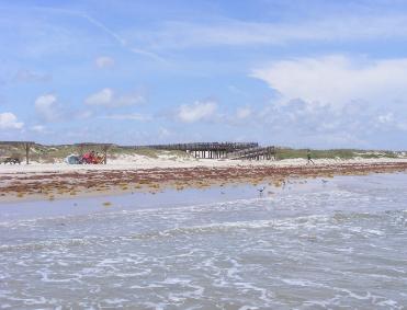 Padre Island Malaquite Campground