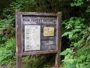 Quinault Nature Trail 1/2 Mile Loop