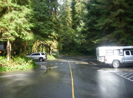 Quinault Trail Head Parking