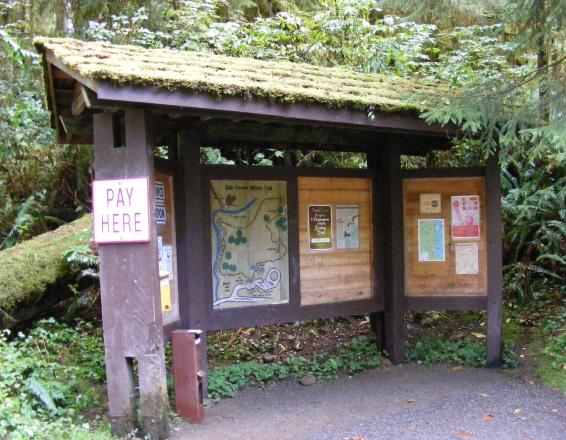 Quinault Trail Head