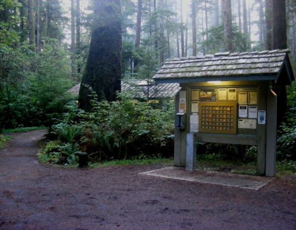 Registration Loop B Mora Campground Olympic National Park