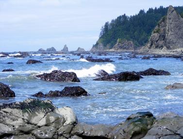 Rialto Beach - Olympic National Park