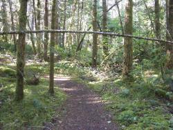 River Loop Trail - Newhalem CG North Cascades NP