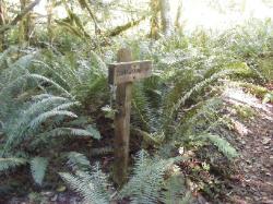 River Loop Trail - Newhalem CG North Cascades NP