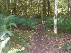 River Loop Trail - Newhalem CG North Cascades NP