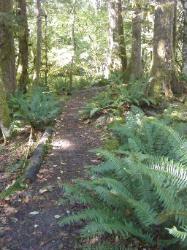 River Loop Trail - Newhalem CG North Cascades NP
