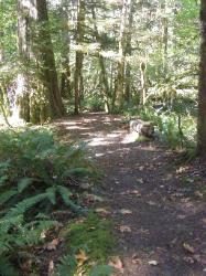 River Loop Trail - Newhalem CG North Cascades NP