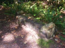 River Loop Trail - Newhalem CG North Cascades NP