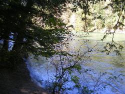 River Loop Trail - Newhalem CG North Cascades NP