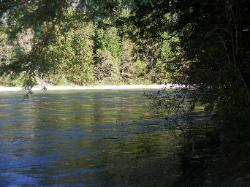 River Loop Trail - Newhalem CG North Cascades NP