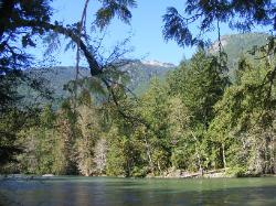 River Loop Trail - Newhalem CG North Cascades NP