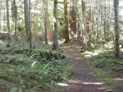 River Loop Trail - Newhalem CG North Cascades NP