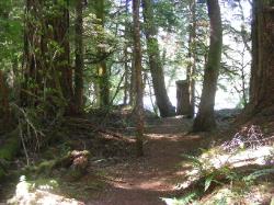 River Loop Trail - Newhalem CG North Cascades NP