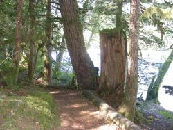 River Loop Trail - Newhalem CG North Cascades NP