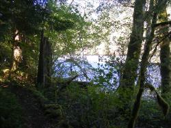 River Loop Trail - Newhalem CG North Cascades NP