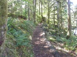 River Loop Trail - Newhalem CG North Cascades NP