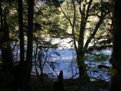 River Loop Trail - Newhalem CG North Cascades NP