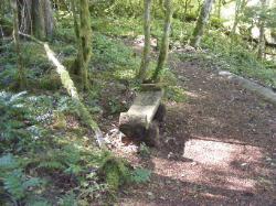 River Loop Trail - Newhalem CG North Cascades NP