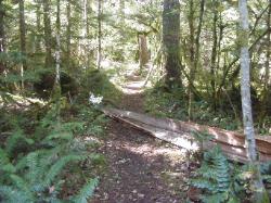 River Loop Trail - Newhalem CG North Cascades NP