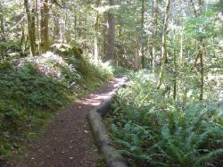 River Loop Trail - Newhalem CG North Cascades NP