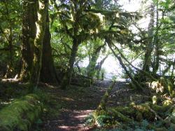 River Loop Trail - Newhalem CG North Cascades NP