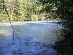 River Loop Trail - Newhalem CG North Cascades NP