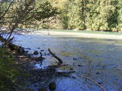 River Loop Trail - Newhalem CG North Cascades NP