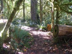 River Loop Trail - Newhalem CG North Cascades NP