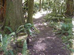 River Loop Trail - Newhalem CG North Cascades NP