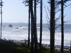 Ruby Beach - Olympic National Park