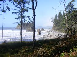 Ruby Beach - Olympic National Park