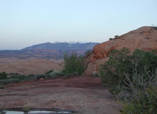 Scenic View