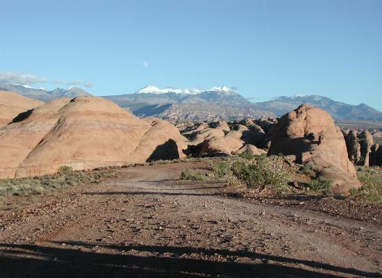 Scenic View