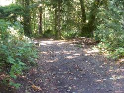 Site 05 Goodell Campground North Cascades NP