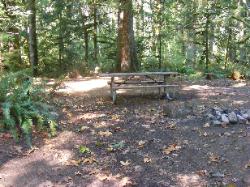 Site 09 Goodell Campground North Cascades NP