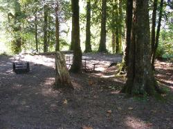 Site 10 Goodell Campground North Cascades NP