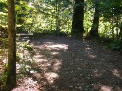 Site 12 Goodell Campground North Cascades NP
