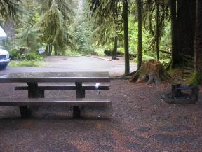 Sol Duc Campground site 29
