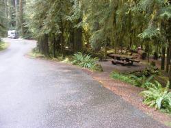 Sol Duc Loop B Site 41