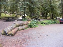 Sol Duc Loop B Site 49 - 50