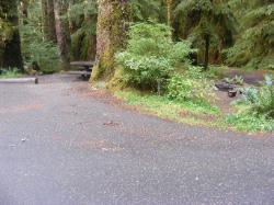 Sol Duc Loop B Site 50