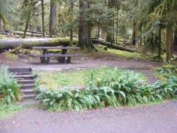Sol Duc Loop B Site 51