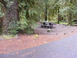 Sol Duc Loop B Site 52