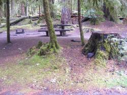 Sol Duc Loop B Site 53