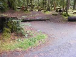 Sol Duc Loop B Site 53