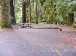 Sol Duc Loop B Site 54