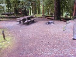 Sol Duc Loop B Site 55