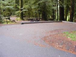 Sol Duc Loop B Site 55
